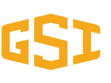 gsi logo